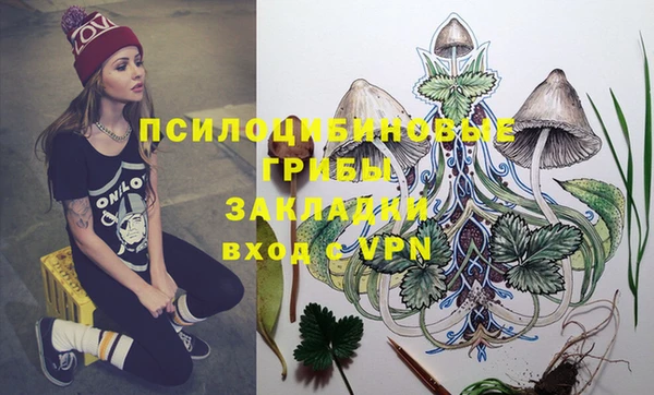 стаф Снежинск