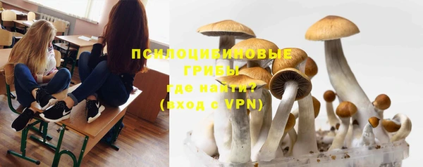 стафф Семёнов
