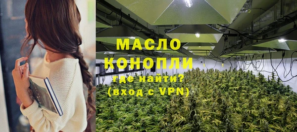 индика Фёдоровский
