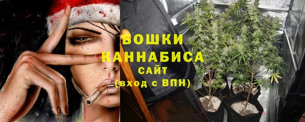 ECSTASY Снежногорск