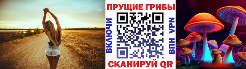 купить наркоту  Ядрин  Галлюциногенные грибы мухоморы 